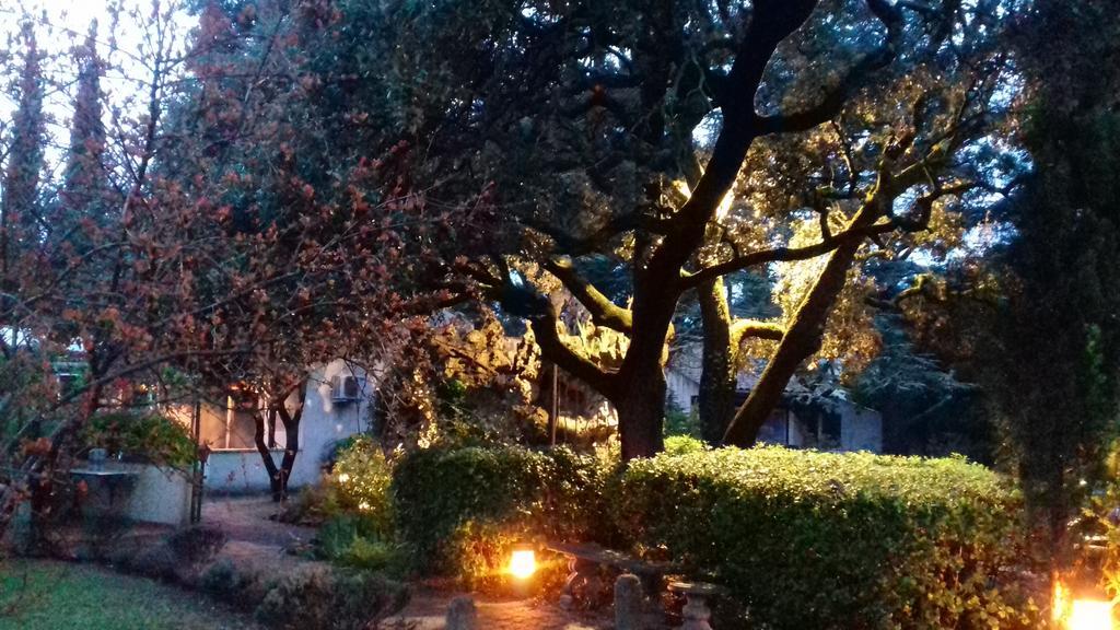 Logis Hotel - Restaurant Residence Les Cedres Villeneuve-lès-Avignon Екстериор снимка